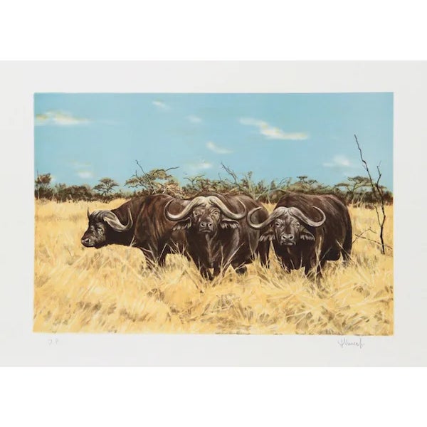 Joseph Vance, "Cape Buffalo," Lithograph For Sale
