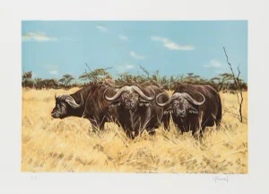 Joseph Vance, "Cape Buffalo," Lithograph