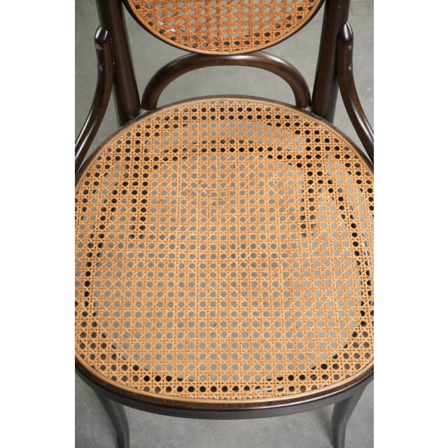 Vintage Long John Webbing Dining Chairs from Thonet, Set of 6 For Sale - Image 6 of 18