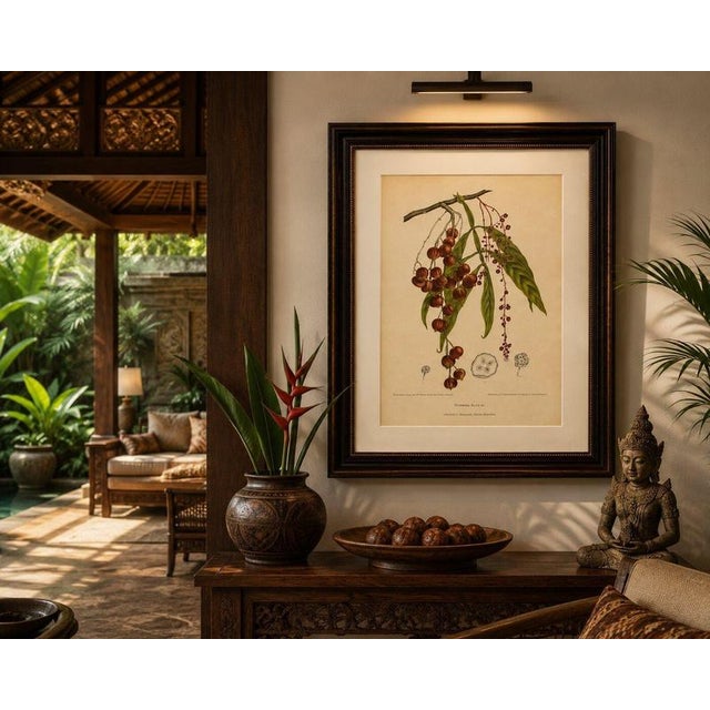 Berthe Hoola van Nooten, Winged Lychee, 1880, Chromolithograph For Sale - Image 6 of 9