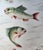 Metal 19th Century Limoges Fish Plates - Set of 3 For Sale - Image 7 of 12