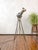 Patt 23N Spotlight on Chrome Tripod from Strand Electric, England, 1960s For Sale - Image 11 of 17