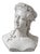 Art Nouveau Female Bust with Vine Leaves, Early 20th Century, Plaster For Sale