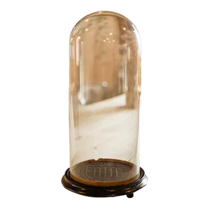 1910's Medium Antique Taxidermy Dome