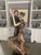 We moved from larger home and had large dining room with some pedestals which hosted our two ArtMax sculptures....