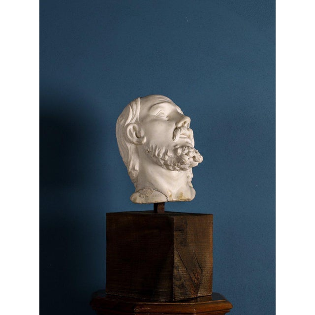 Girolamo Ticciati, Italian School Head of a Bearded Man with Long Hair, 1700s, Marble For Sale - Image 4 of 7