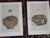 Authentic Antique 19th Century Hand Colored Bird Nest & Egg Lithographs - Set of 12 For Sale - Image 9 of 13