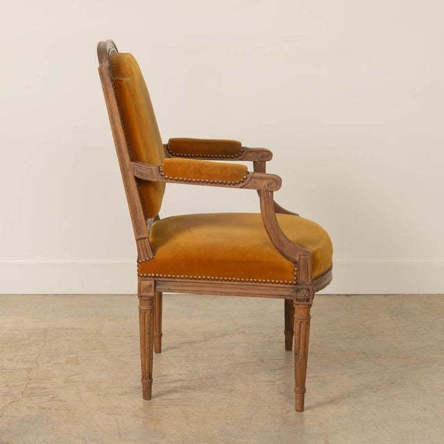 1920s 1920s French Louis XVI Style Armchair For Sale - Image 5 of 12
