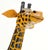 Large Tooled Leather Sculpture of a Giraffe For Sale - Image 9 of 16