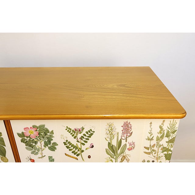 Pink Vintage Swedish Cabinet by Cam Lindman for Nordens Flora, 1940s For Sale - Image 8 of 11