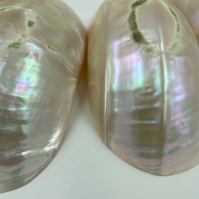 Traditional Late 20th Century Caviar Mother of Pearl Bowls - 12 pcs For Sale - Image 3 of 12