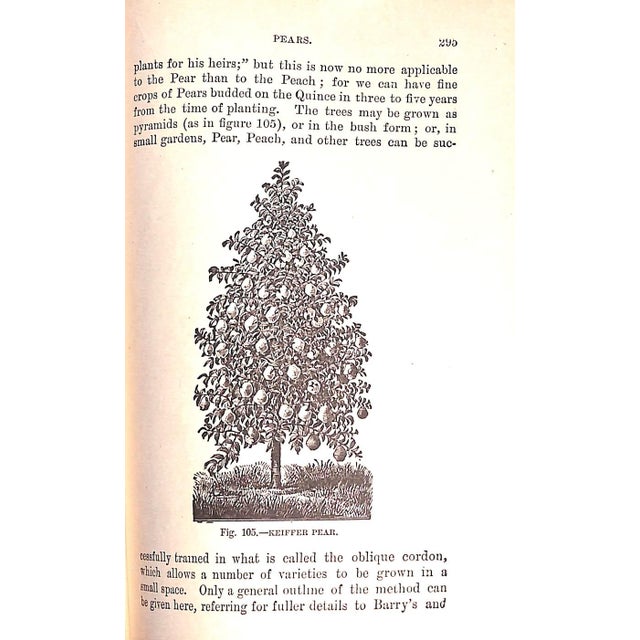 Traditional "Gardening for Pleasure" 1918 Henderson, Peter For Sale - Image 3 of 10