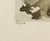 Paper Roger Hebbelinck Hand Signed Vintage Aquatint Etching, Village, Belgium For Sale - Image 7 of 11
