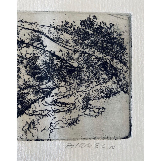 Robert A. Birmelin, Metamorphosis, American Modernist Abstract Etching For Sale - Image 4 of 7