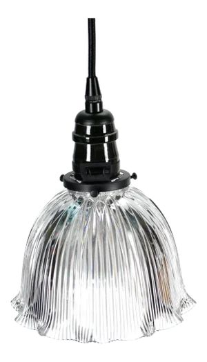 1909 Signed Holophane Pendant With Black Socket #2083