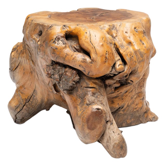 Chinese Rootwood Side Table For Sale