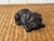 MCM Carved Ebony Pug For Sale - Image 4 of 12