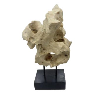 Indonesian Coral Stone On Teak Stand For Sale