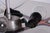 Metal Mid-Century Chandelier in Chromed Steel and Glass, Czech, 1950s For Sale - Image 7 of 11
