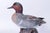 Ceramic Pair Ma Hai Feng Duck Bookends For Sale - Image 7 of 18