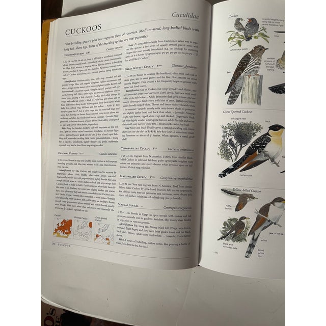 1980s Birds of Europe Coffee Book For Sale In Miami - Image 6 of 7