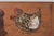 Early 20th Century Wooden Wall Pocket With Hand-Painted Chickens For Sale - Image 10 of 16