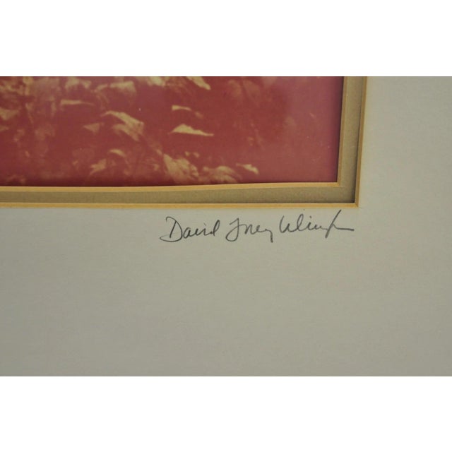 Modern Vintage David Lorenz Winston "Seven Trees" Landscape Signed Framed Art Print For Sale - Image 3 of 14