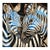 Contemporary Zebra Original Painting in Blue and Black – By P Charles, 36 X 36", Unstretched For Sale