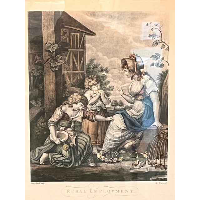 1920s The Birds Nest R. Westall A. Zaffonato Hand-Colored Engraving Regency - Set of 2 For Sale - Image 14 of 17
