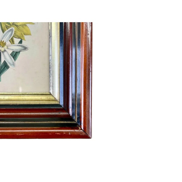 Printmaking Materials 1840s Hand-Colored Botanical Lithographs by Jane Loudon in Fine 19th Century Shadow Box Frames - a Pair For Sale - Image 7 of 7