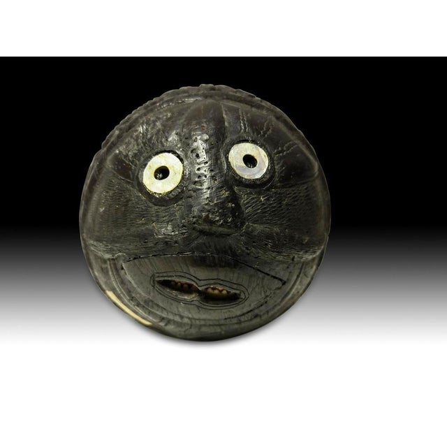 Carved Coconut, 19th Century For Sale - Image 12 of 14