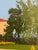 Martino Hoss Shakespeare Garden at the Huntington Hotel Serigraph, Signed For Sale In San Francisco - Image 6 of 13