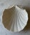 Mid 20th Century Vintage Ceramic Scallop Shell Serving Platter Made in Portugal For Sale - Image 5 of 8
