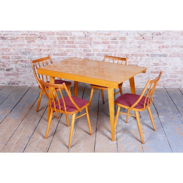 Brown Mid-Century Modern Chairs by Antonín Šuman, 1960s, Set of 4 For Sale - Image 8 of 11