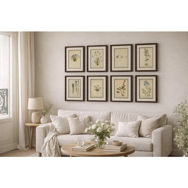 Antique Botanical Prints Alpine Gentians Set of 8, Chromolithographs, 1897 A refined and visually striking set of eight...