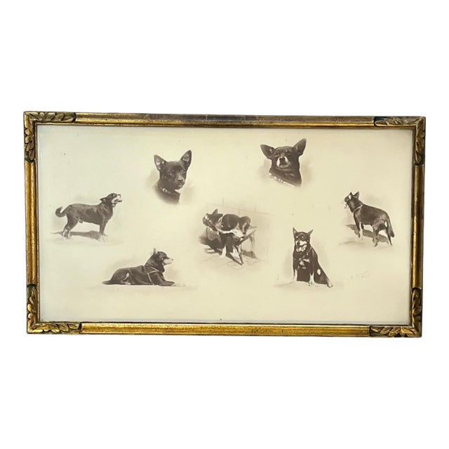 Antique Parisian Gilt Wood Framed Dog Portrait For Sale