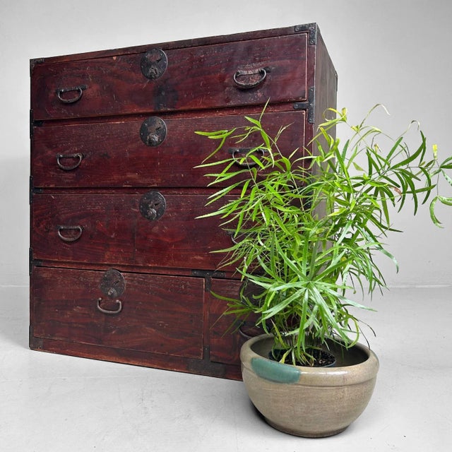 Warm chestnut-brown finish with a beautifully lived-in patina and hand-forged iron fittings with round lock plates....