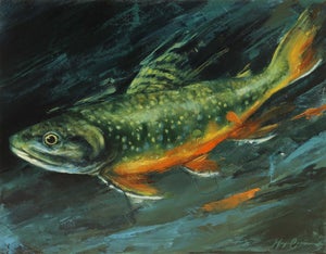 Rainbow Trout by Morgan Cameron | Oil on panel of a swimming trout in dark water