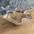 Sculpture Materials Midcentury Swiss Willy Guhl Clam Shell Planter For Sale - Image 7 of 8