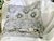 2016 Pottery Barn Jacqueline Euro Pillow Sham Pair For Sale In Miami - Image 6 of 12