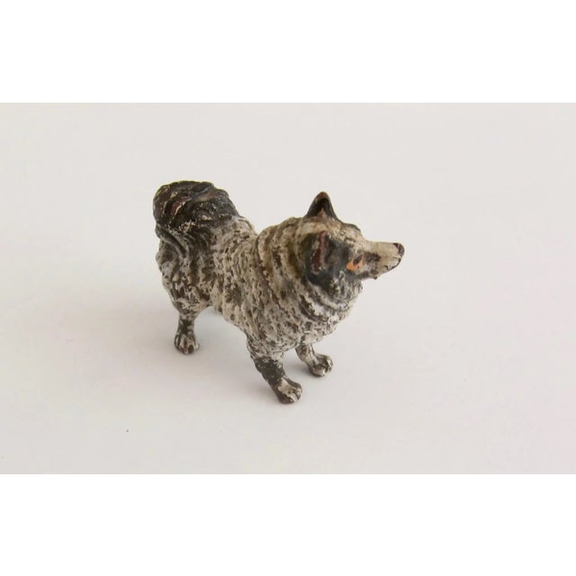 Rare antique Vienna miniature bronze sculpture of a Pomeranian Loulou dog by Franz Bergmann, Austria circa 1900. Cold...