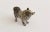 Rare antique Vienna miniature bronze sculpture of a Pomeranian Loulou dog by Franz Bergmann, Austria circa 1900. Cold...
