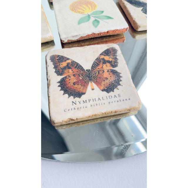 Wood Vintage Late 20th Century Italian Marble Coasters With Butterfly and Botanical Illustrations - Set of 5 For Sale - Image 7 of 9