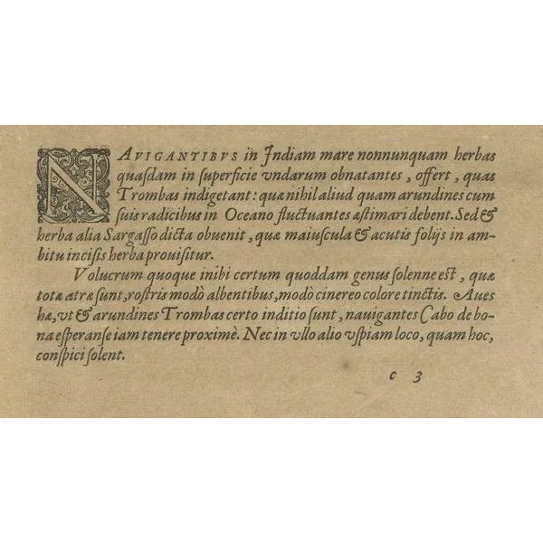 De Bry, Maritime Life and Flora, 1601, Paper For Sale - Image 6 of 9