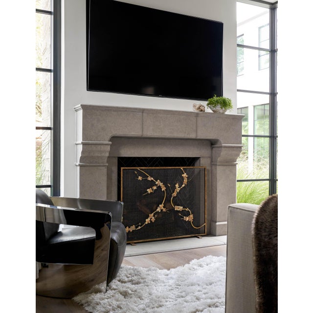 Metal Aged Silver Sakura Fireplace Screen Iron For Sale - Image 7 of 8