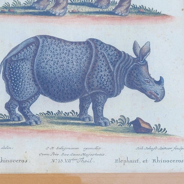 Framed Animal Engravings, 19th Century, Set of 6 For Sale - Image 17 of 18
