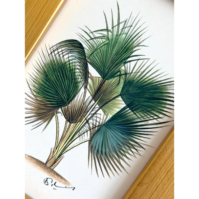 Hand-painted by master artists using acrylic paints and natural pigments, this detailed fan palm study captures every fine...