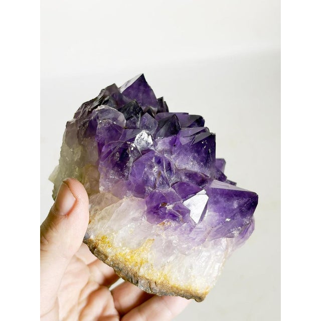 Gold 20th Century Press Paper in Amethyst, France For Sale - Image 8 of 9
