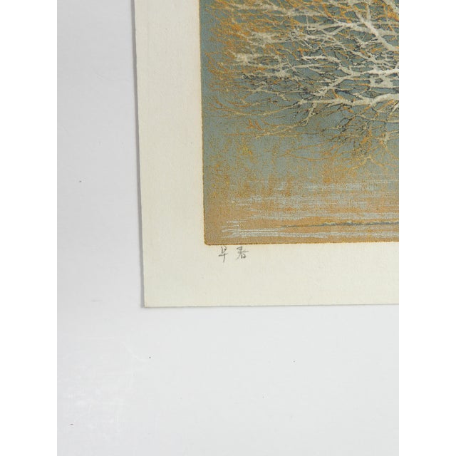 Japanese 1974 Joshi Hoshi White Gold Tree Woodblock Print For Sale - Image 3 of 5