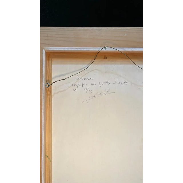 2000 - 2009 Gilbert Pauli, Bromus, 2007, Acrylic, Framed For Sale - Image 5 of 10